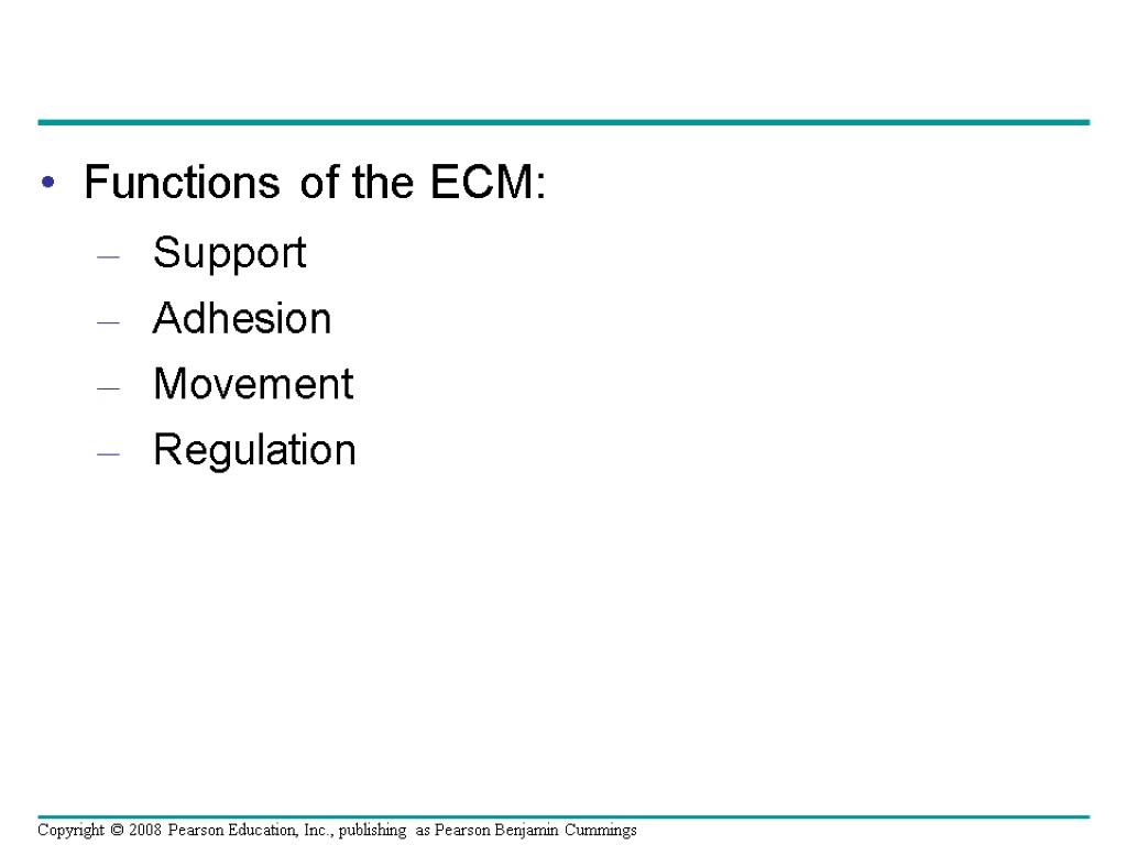 Functions of the ECM: Support Adhesion Movement Regulation Copyright © 2008 Pearson Education, Inc.,